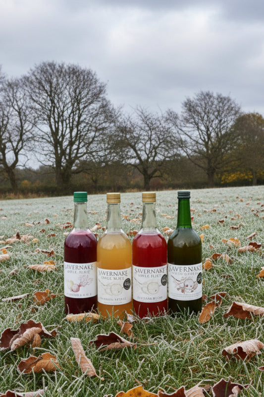 Winter Selection - Case of 12